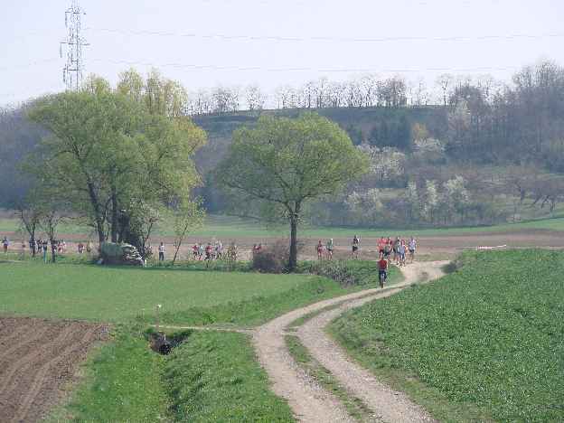 lauf2008_323