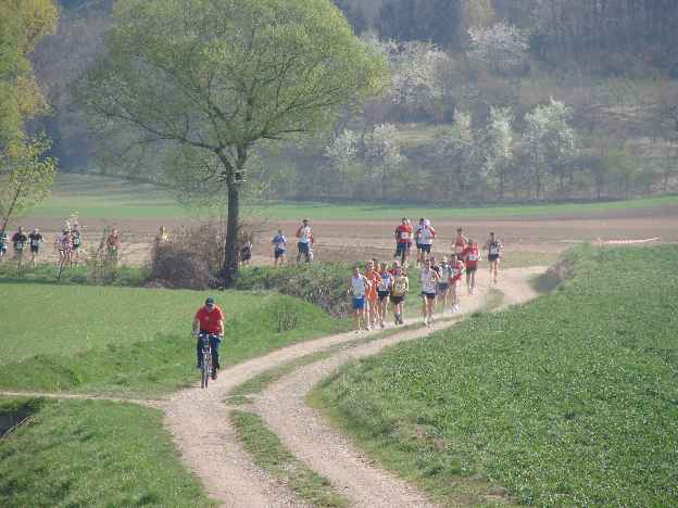 lauf2008_324