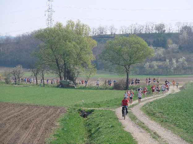 lauf2008_325