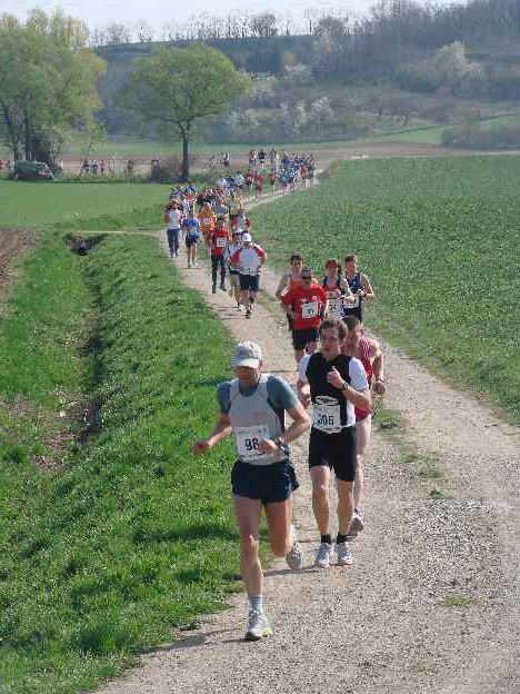 lauf2008_330