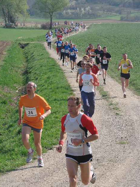 lauf2008_334