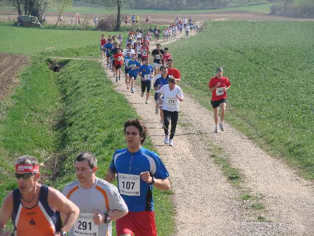 lauf2008_337