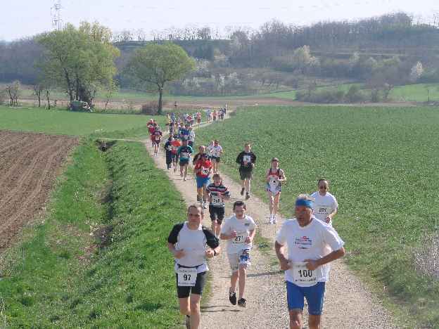 lauf2008_343