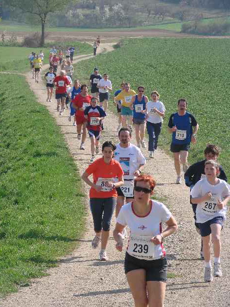 lauf2008_345