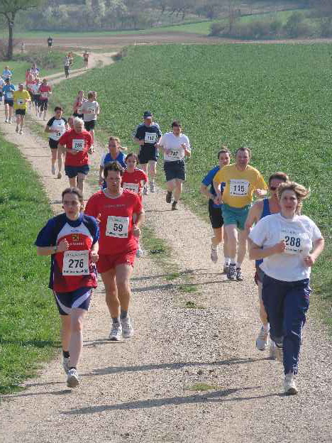 lauf2008_346