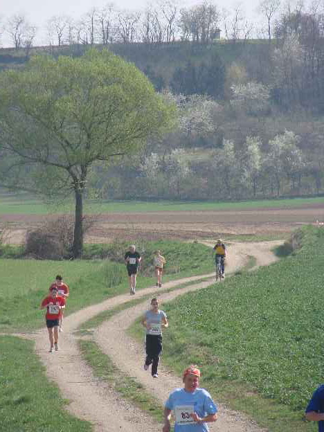 lauf2008_349