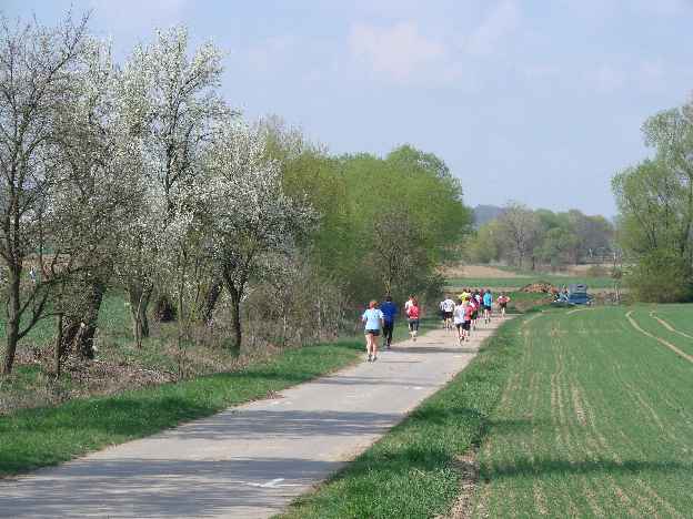 lauf2008_350