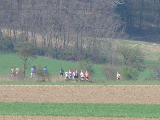 lauf2008_353