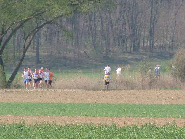 lauf2008_355