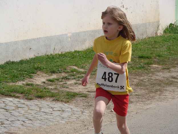 lauf2008_480