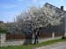 lauf2008_035