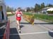 lauf2008_049