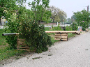 1_Mai_2011_002