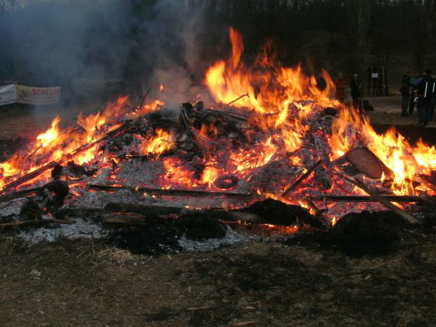 Gatsch-Enten_2011_161