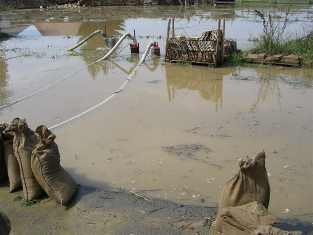 Hochwassereinsatz_201008_45