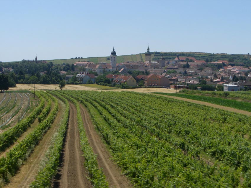 Vereinsausflug_2010_047