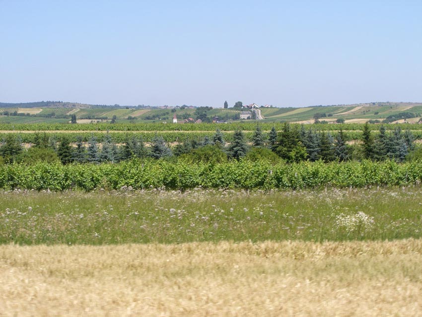 Vereinsausflug_2010_048