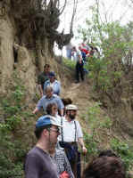 Maiwander17.jpg (46382 Byte)