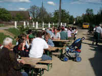 Maiwander38.jpg (40214 Byte)