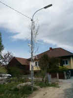 hochzeitstag_fischer1.jpg (12361 Byte)