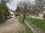 kanal_bachstrasse5.jpg (36884 Byte)