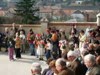 palmweihe1.jpg (50349 Byte)