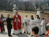 palmweihe3.jpg (41445 Byte)