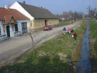 sauber_0158.jpg (32316 Byte)