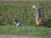 sauber_0159.jpg (48337 Byte)