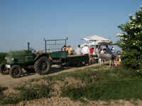 segnung_schollykreuz31.jpg (36722 Byte)