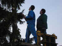 Maibaum-004.jpg (25663 Byte)