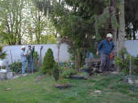 Maibaum-008.jpg (45962 Byte)