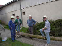 Maibaum-028.jpg (34323 Byte)