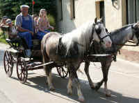 dorffest2003_34.jpg (44382 Byte)