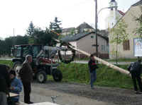 maibaum_aufstellen4.jpg (39263 Byte)