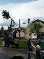 maibaum_aufstellen7.jpg (35208 Byte)