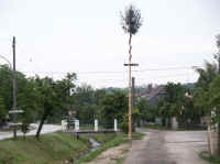 maibaum_umschmeissen_2003_0.jpg (27947 Byte)
