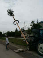 maibaum_umschmeissen_2003_2.jpg (35115 Byte)
