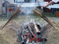 maibaum_umschmeissen_2003_8.jpg (26917 Byte)