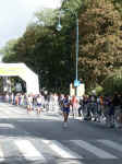 wachaumarathon2002_17.jpg (87439 Byte)