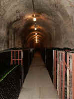 vereinsausflug_2003_55.jpg (26070 Byte)