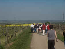 fruehjahrswanderung_2002-12.jpg (69327 Byte)