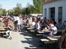 maibaum8_2002.jpg (60281 Byte)